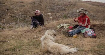 Čas za film: Gora se ne bo premaknila