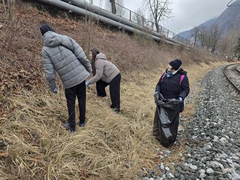 Štiri peresna deteljica - štiri energije, en cilj!