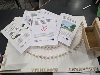 Parlament specifikus - v čevljih poslancev in poslank