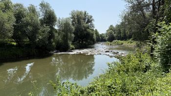 Kamniška Bistrica ni kopalna reka