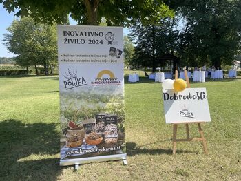 Festival Poljka – Skupaj do uspeha Festival Poljka – Skupaj do uspeha