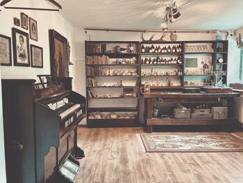 KRANJSKI TRIO samostojnih ogledov