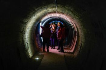 KRANJSKI TRIO samostojnih ogledov