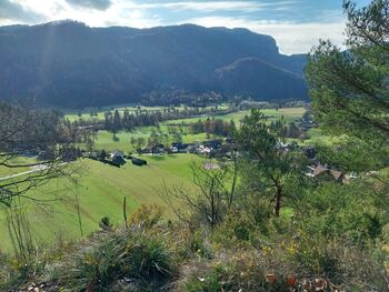 Odgovor na pismo občanke Sonje Dornik