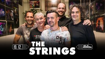  The Strings - rock party