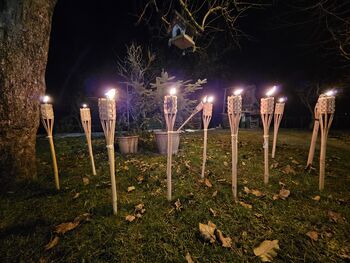 Tradicionalen domovinski pohod z baklami po ulicah krajevne skupnosti Kokrica