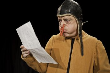 Literarno-gledališki nastop, Rozinteater