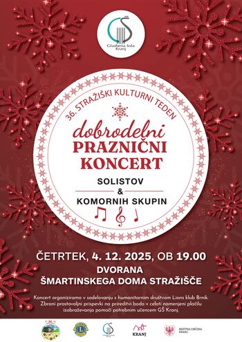 Dobrodelni praznični koncert solistov in komornih skupin