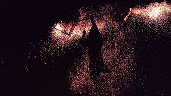 zimski Živ Žav: OGNJENICA