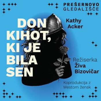 Don Kihot, ki je bila sen