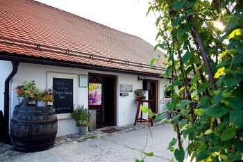 Odprtje fotografske razstave Vojka Artača