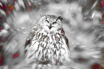 Pogled skozi žensko oko: Misterij žene