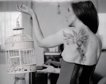 Koncert in predstavitev albuma: Lisica - "Dam. Daš."