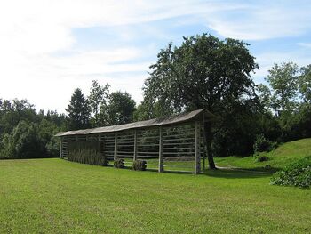 Kozolec kot identiteta slovenskega prostora