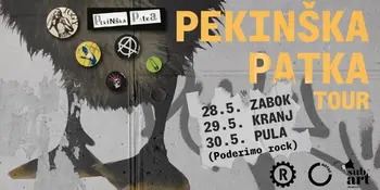 Pekinška Patka (SRB)