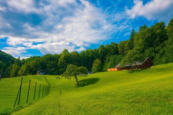 V Sevnici odprt Pasji hotel Purpleheart – nova oaza za kosmatince