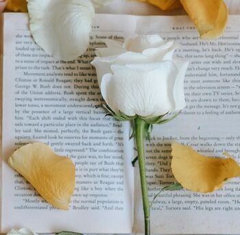 VRTNICE IZ KREP PAPIRJA