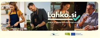 Most mladih – partner regijske mreže vseživljenjskega učenja v občini Vojnik Most mladih – partner regijske mreže vseživljenjskega učenja v občini Vojnik