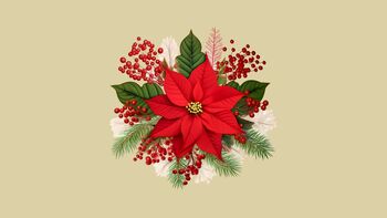 Delavnica izdelave božičnih zvezd iz krep papirja