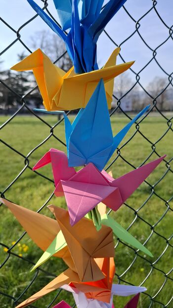 Inkluzivne športne igre Inkluzivne športne igre