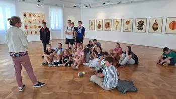 Vipavci v šoli v kulturi Vipavci v šoli v kulturi