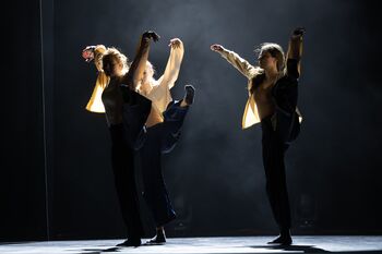 V Brežicah zaživela plesna predstava IndividuuMI Plesnega društva Imani