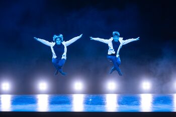 V Brežicah zaživela plesna predstava IndividuuMI Plesnega društva Imani