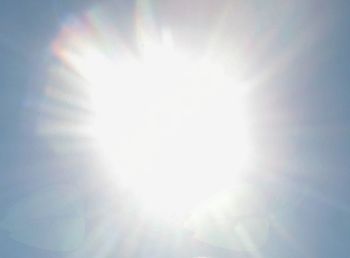 Kako ravnati v vročinskem valu?