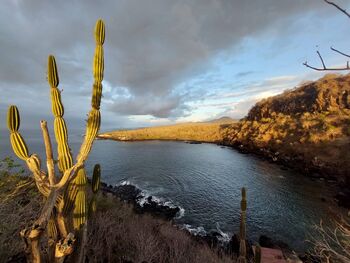 Ko svet pride v Brlog: Potopisno predavanje o Galapagosu 