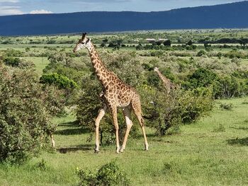 Popotniški večer v Brlogu: Kenija 