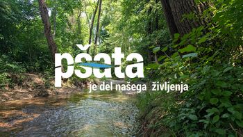 Interaktivni zemljevid porečja Pšate