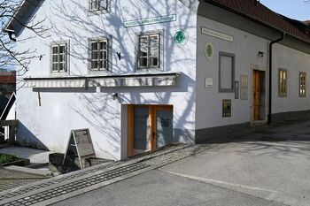 Prvi samoportretni foto studio v Novem mestu