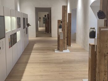 MLADI ŽUPANI ZA EN DAN: IDEJE, KI LAHKO SPREMENIJO OBČINO