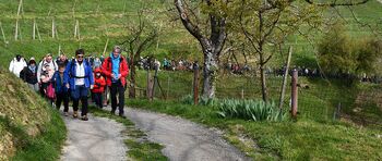 Sedemnajsti pohod prijateljstva