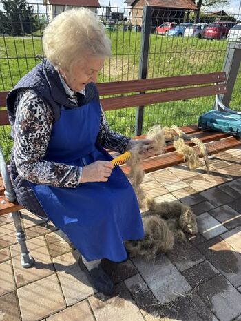 Setev in teritev lana v okviru projekta Dediščina spregovori