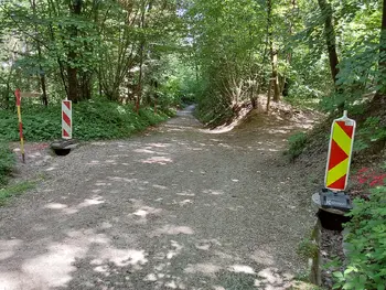 Urejamo gozdno pot v KP Tivoli, Rožnik in Šišenski hrib
