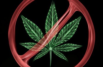 Raziskava o uporabi drog, alkohola in drugih psihoaktivnih snovi med vožnjo motornega vozila