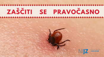 Toplejše vreme poveča nevarnost okužbe s klopnimi boleznimi