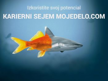 Karierni sejem MojeDelo.com - priložnost do nove zaposlitve
