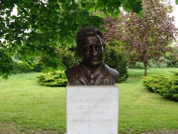 Polaganje cvetja k spomenikom zaslužnih partizanskih zdravnikov