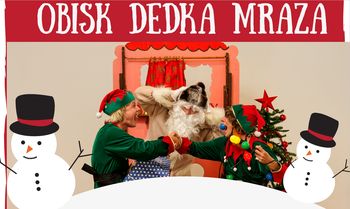Predstava Čarobni robotek in obisk Dedka Mraza
