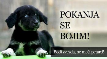 Preventivna akcija Bodi zvezda, ne meči petard!