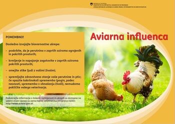 Zmanjšajmo tveganje za izbruhe visoko patogene ptičje gripe Zmanjšajmo tveganje za izbruhe visoko patogene ptičje gripe