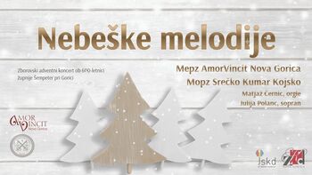 Nebeške melodije, koncert