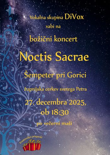 Noctis sacrae, božični koncert