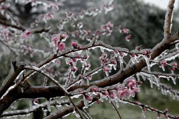 Namakalni sistem Vogršček pripravljen za uporabo