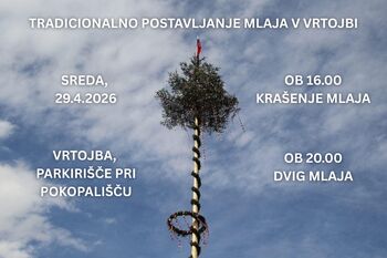 Tradicionalno dvigovanje mlaja v Vrtojbi