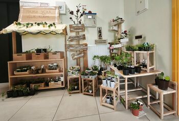 Majhna sadika, velik korak – Zeleni bazar v enoti Panorama Boštanj