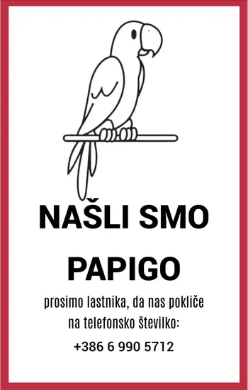 Najdena papiga