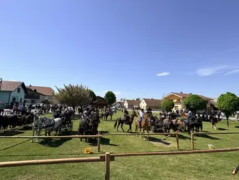 29. TRADICIONALNO ŽEGNANJE KONJEV V ŽUPEČJI VASI